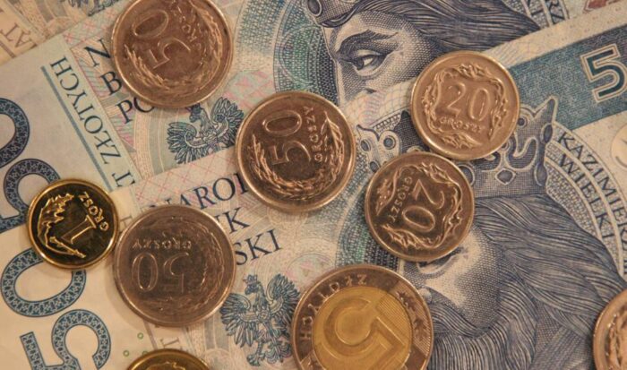 trzoda chlewna, tuczniki, bydło mleczne, krowy