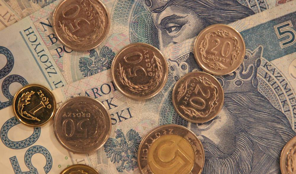 trzoda chlewna, tuczniki, bydło mleczne, krowy