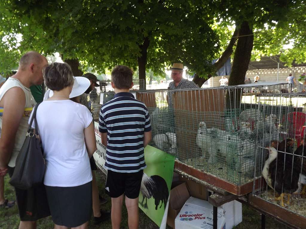 Końskowola, LODR w Końskowoli, rolnictwo,  Dzień Otwartych Drzwi, lubelskie