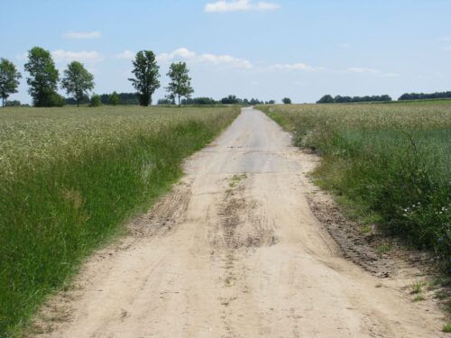 rozwój obszarów wiejskich, lokalne grupy działania,  lokalne grupy rybackie