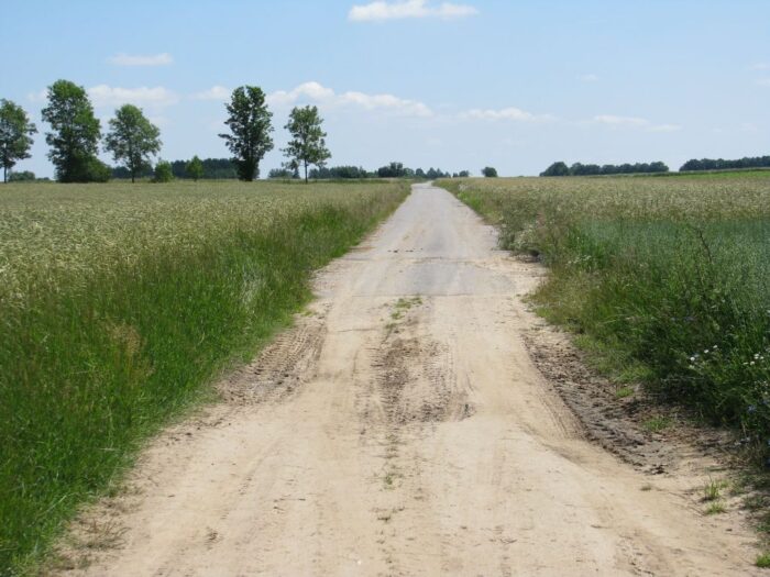 rozwój obszarów wiejskich, lokalne grupy działania,  lokalne grupy rybackie