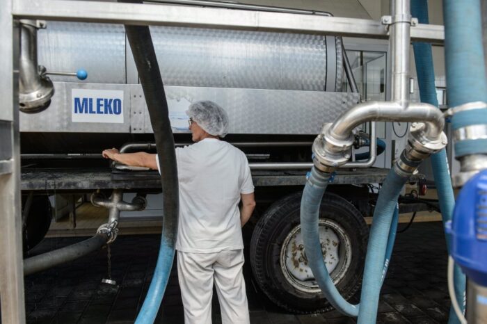 produkcja mleka, wsparcie dla prodcentów mleka, kwoty mleczne, kary za nadprodukcję mleka