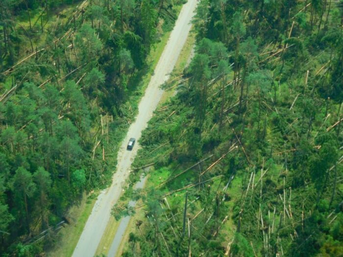 nawałnice, lasy państwowe, puszcza knyszyńska, zniszczone drzewa
