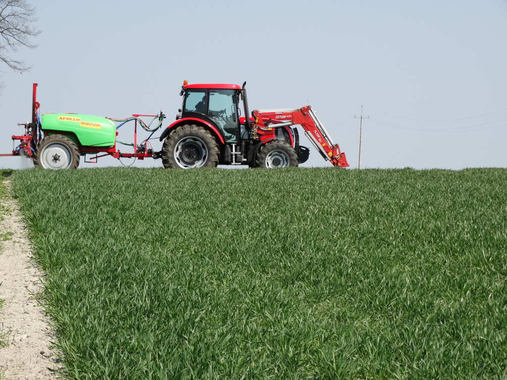 pszenica, opryskiwacz, ciągnik, pole