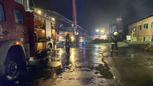 pożar, chlewnia, trzoda chlewna, prosięta