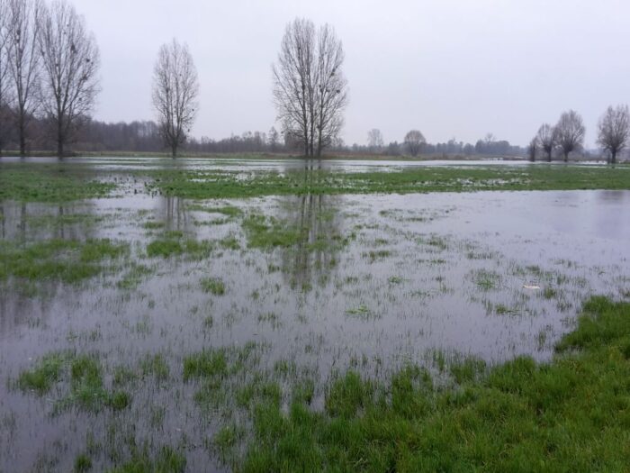 Najwyższa Izba kontroli, mała retencja, zbiorniki wody
