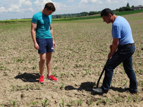 studenci WRiB, Wiesław Gryn