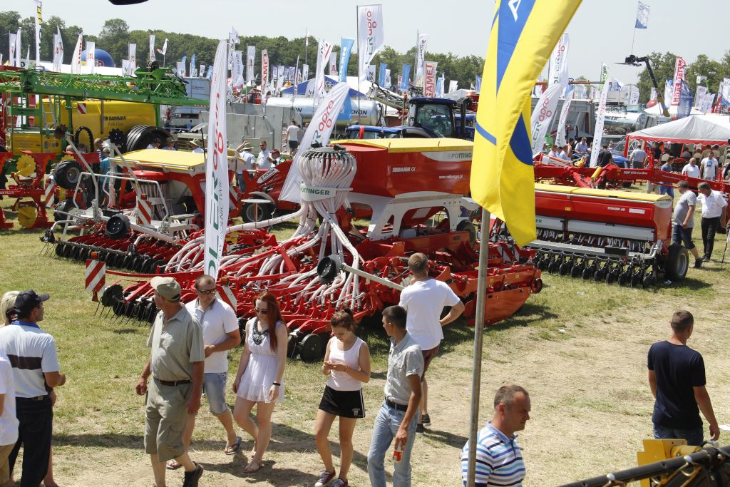 targi rolnicze w Szepietowie, wystawa zwierząt hodowlanych