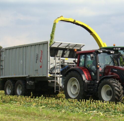 import płodów rolnych, ukraina, krir, bezcłowy kontyngent