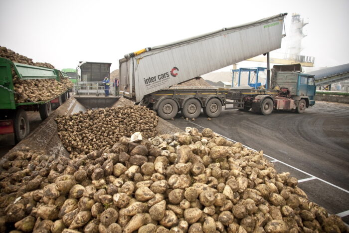 ksc, krajowa spółka cukrowa, burak cukrowy, kazimierz kobza