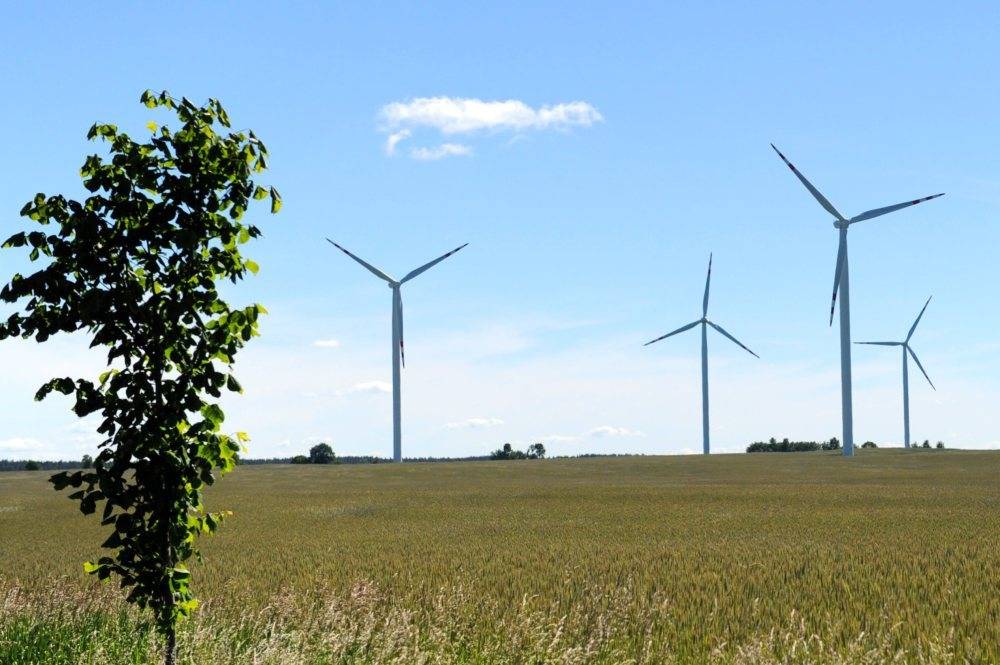 OZE, zielona energia, ustawa o OZE, Sejm, posłowie, prosument, biomasa