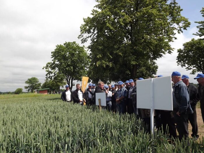Wilkołaziak, zboża, Dzień Pola Wilkołaziak 2016, rolnicy, lubelskie, BASF, Danko, Top Farm