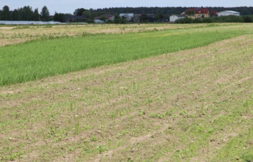 nawożenie, NIK, raport, gleba, uprawa, badanie gleby