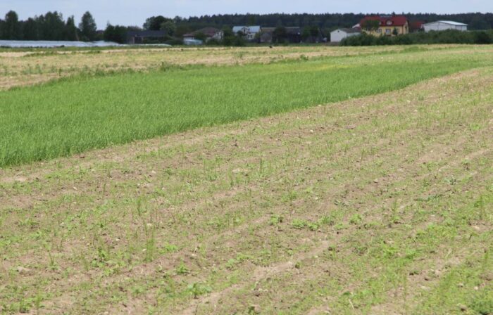 nawożenie, NIK, raport, gleba, uprawa, badanie gleby