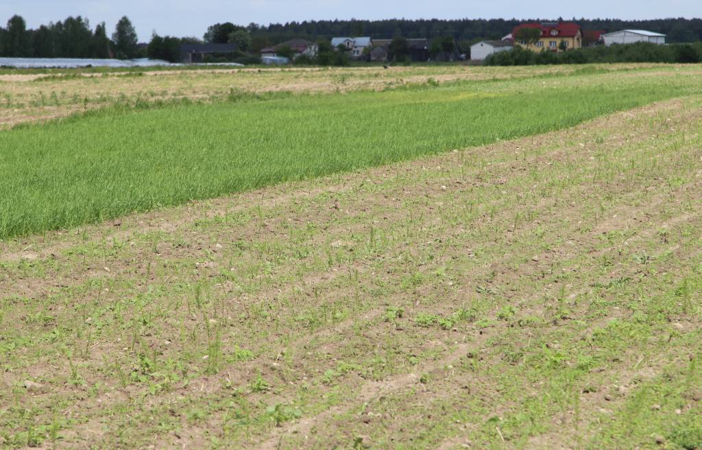 nawożenie, NIK, raport, gleba, uprawa, badanie gleby