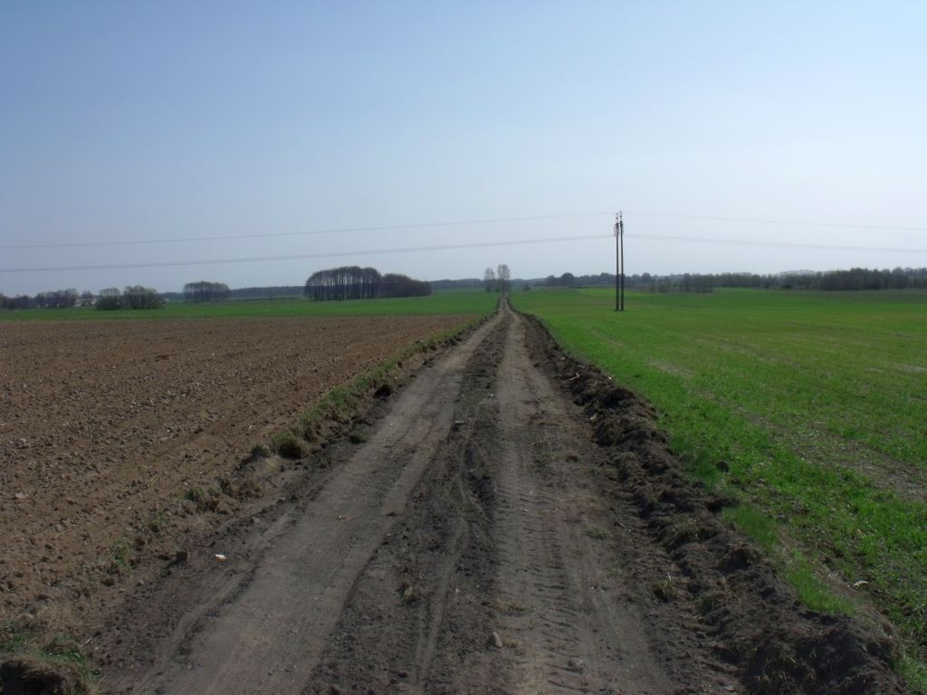 sprzedaż ziemi, dzierżawa ziemi, obrót ziemią, świętokrzyska izba rolnicza