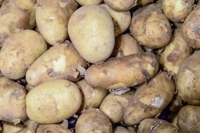 ziemniaki, cena ziemników, deficyt ziamniaków, frytki