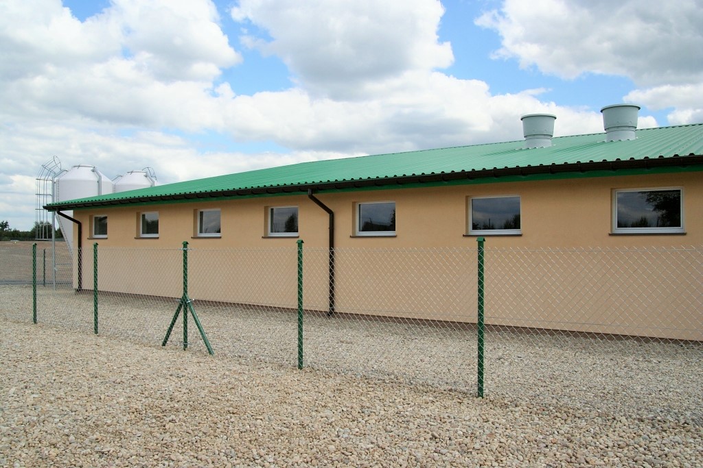 asf, bioasekuracja, tuczniki, giw