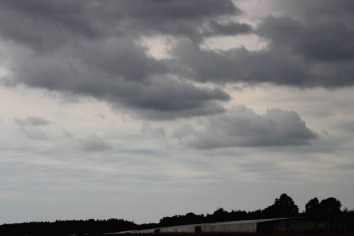 sadownictwo, grad, gradobicie, burza, podoga, SKS, straty w owocach