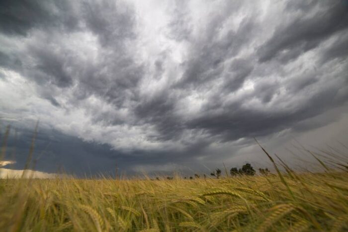 pogoda, burza, susza, opady deszczu, gleba,  Instytut Uprawy Nawożenia i Gleboznawstwa