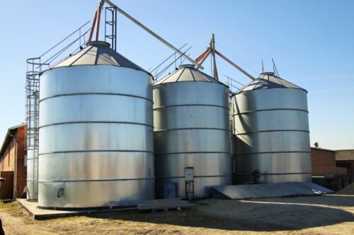 pasze, zboże, ziarno, kukurydza