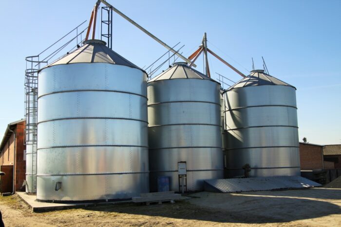 pasze, zboże, ziarno, kukurydza