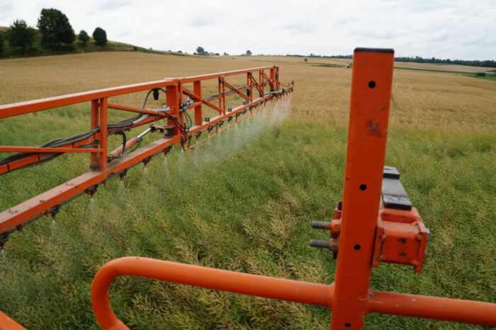 rzepak ozimy, desykacja, opryskiwacz, Brodzica