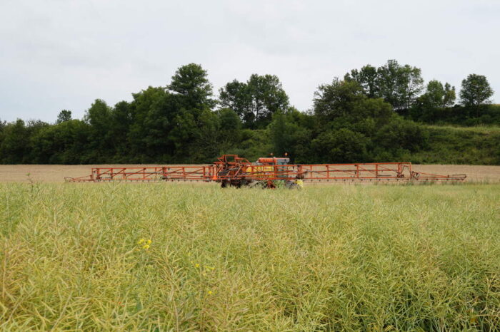 rzepak ozimy, desykacja, opryskiwacz, Brodzica