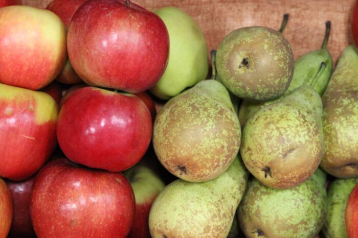 ekologia, żywnosć, certyfikowane produkty ekologiczne, eko