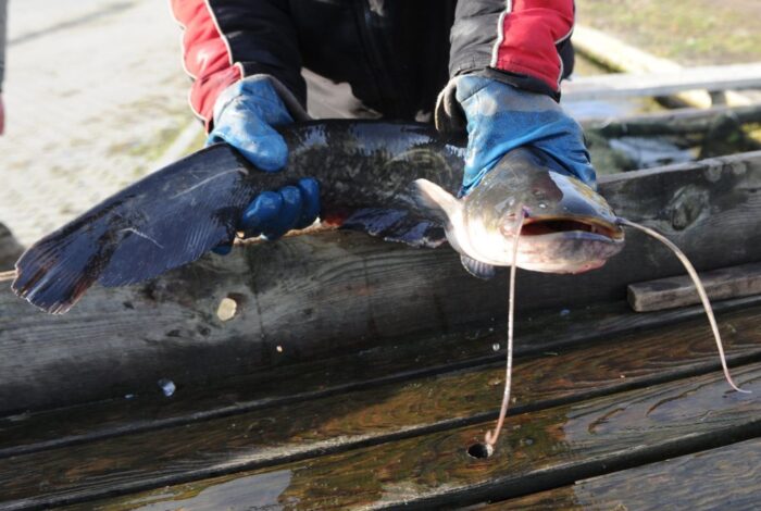 Lokalne Grupy Rybackie, Podkarpacie, lubelszczyzna, Tomasz Leyko