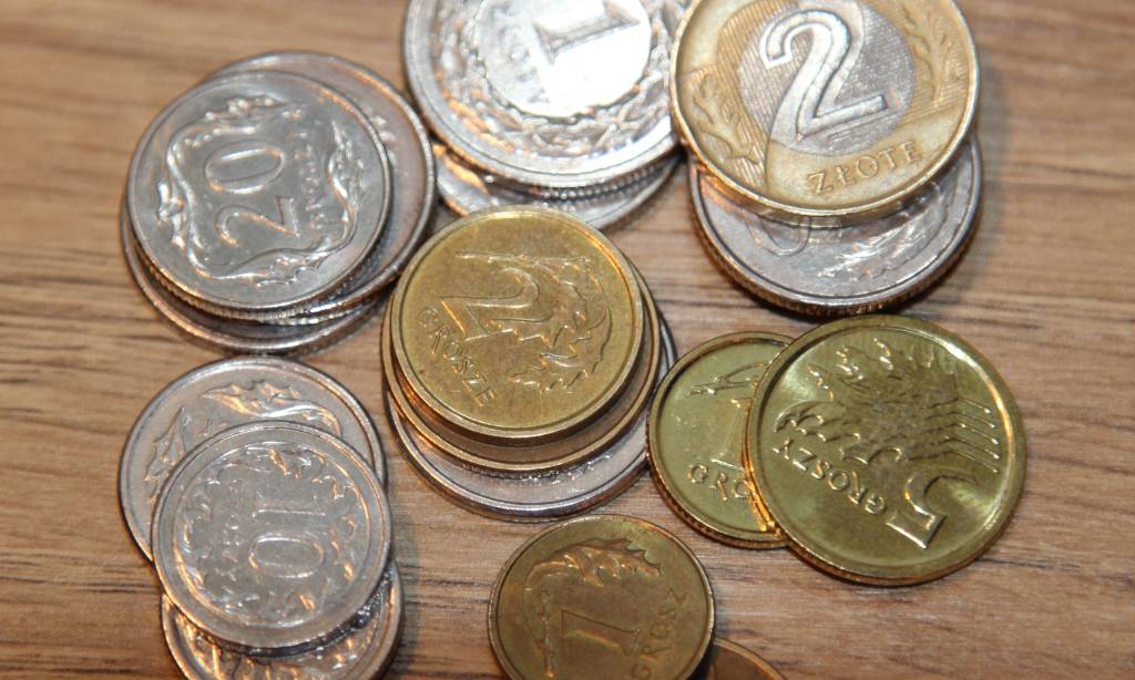 rolnictwo, dochody rolników, Polska wieś 2016. Raport o stanie wsi, gospodarstwa rolne