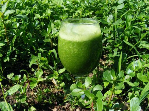 warzywa, brukuły, zdrowie, dieta, witaminy, zielone smoothie