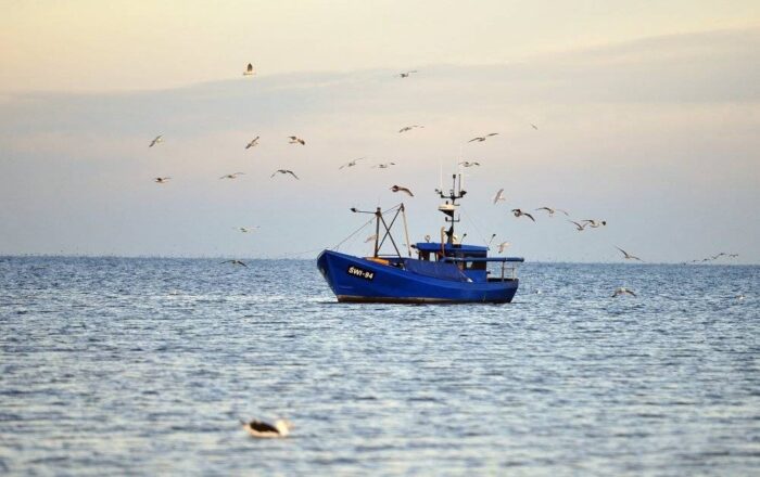 rybacy, Program Operacyjny Rybactwo i Morze, ułatwienie procesu składania wniosków, ustawa, rybołówstwo
