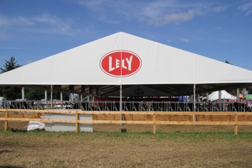 lely, robot udojowy, krowy mleczne, obora