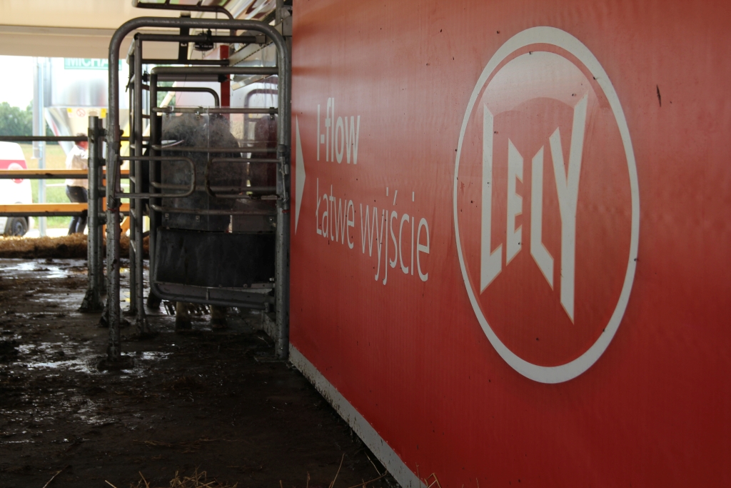 lely, robot udojowy, krowy mleczne, obora
