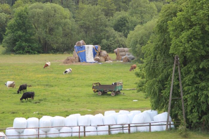 Natura 2000, pieniądze dla gmin, subwencja środowiskowa, wielkoobszarowe formy ochrony przyrody, przyroda