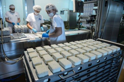 mleko, wzrost produkcji mleka, wzrost produkcji przetworów mlecznych, ceny skupu mleka