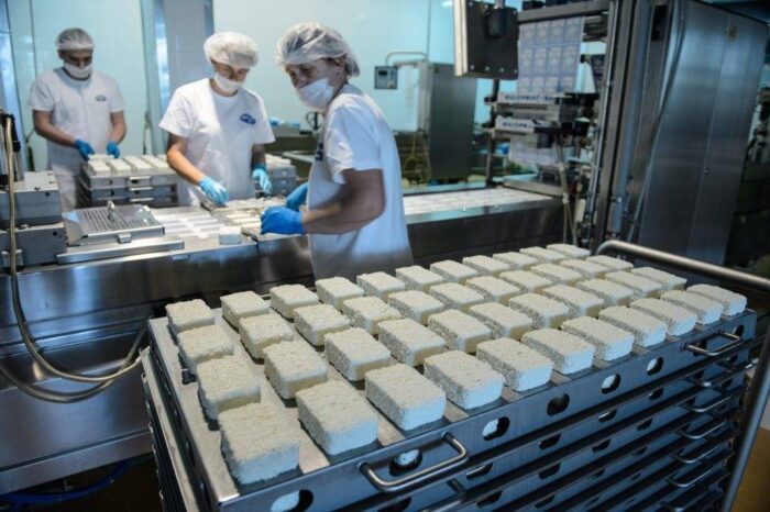 mleko, wzrost produkcji mleka, wzrost produkcji przetworów mlecznych, ceny skupu mleka