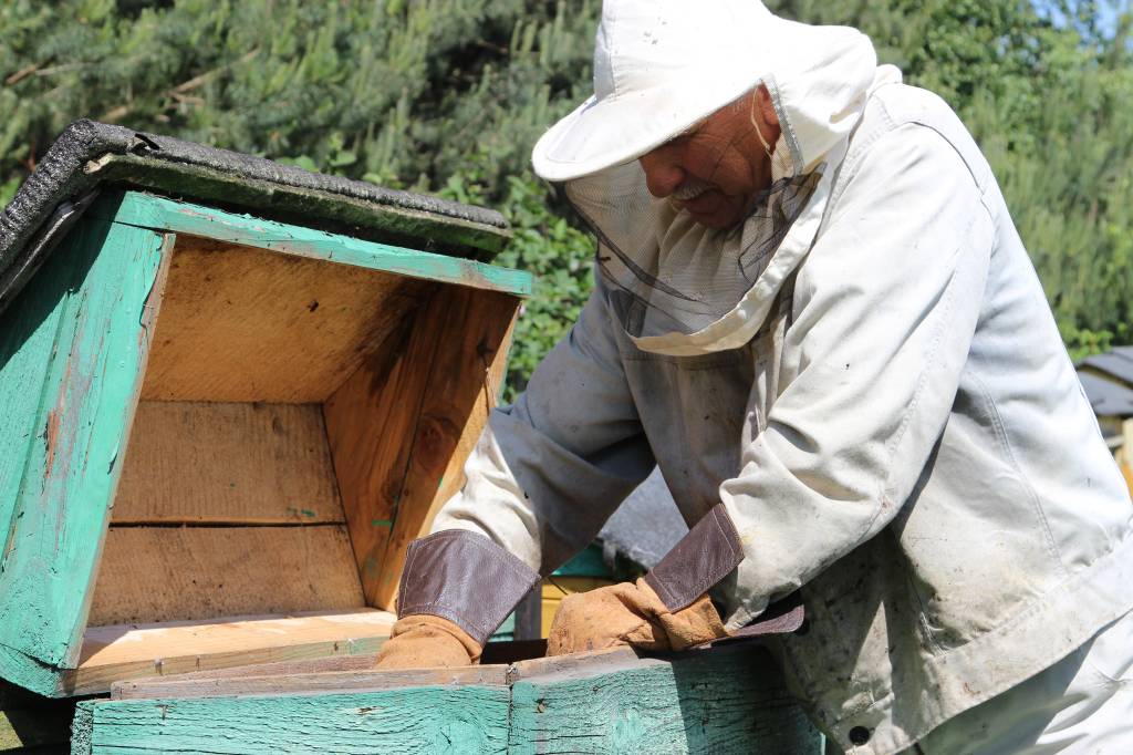 pszczoły, Agencja Rynku Rolnego, pieniądze, pszczelarstwo, ARR