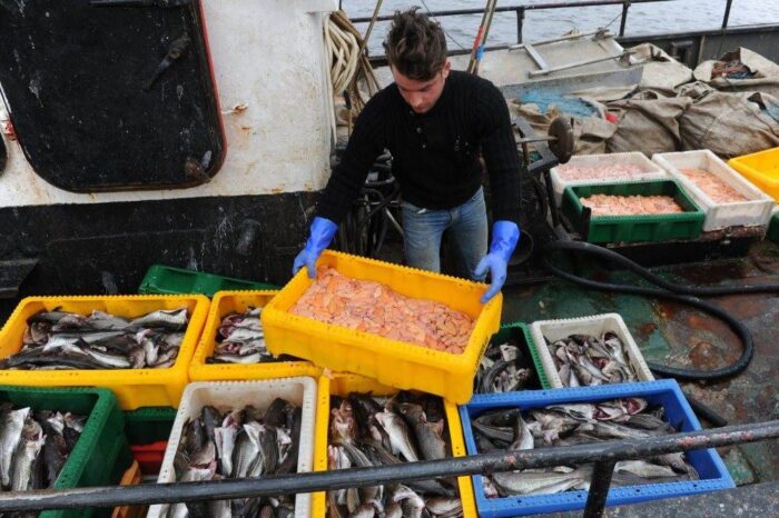 rybactwo, ustawa, Senta, poprawki senackie,  Program Operacyjny Rybactwo i Morze