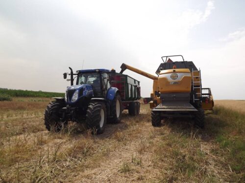 Sampo Comia 6, kombajn, rzepak, Sampo, firma Gravit z Lublina, Sampo Rosenlew