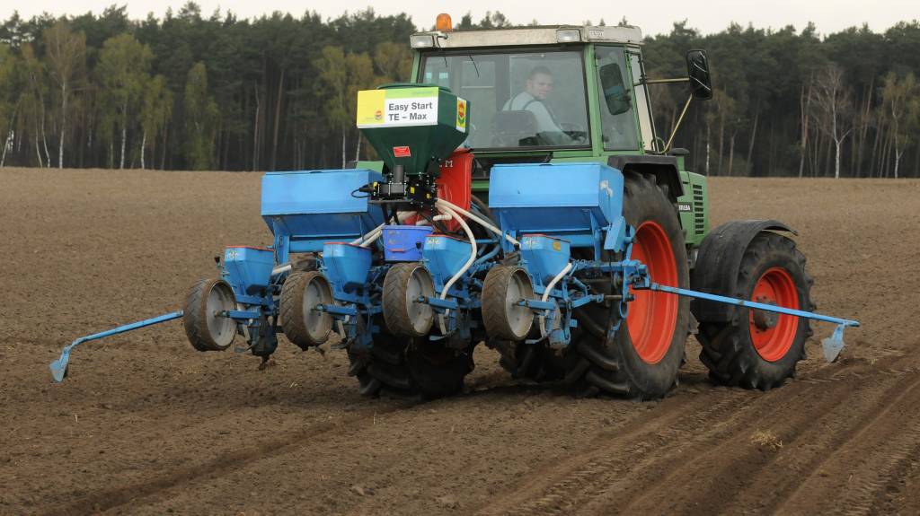 dopłaty do materiału siewnego, Agencja Rynku Rolnego, materiał siewny