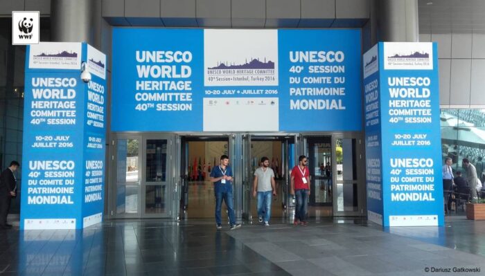 UNESCO, Puszcza Białowieska, ministerstwo środowiska, ekolodzy, WWF