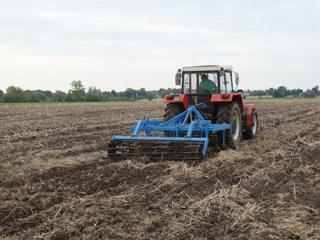 uprawa pożniwna, agregat scierniskowy, rzepaczysko, Sahryń