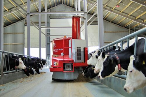 lely vector, krowy mleczne, pasza, robot