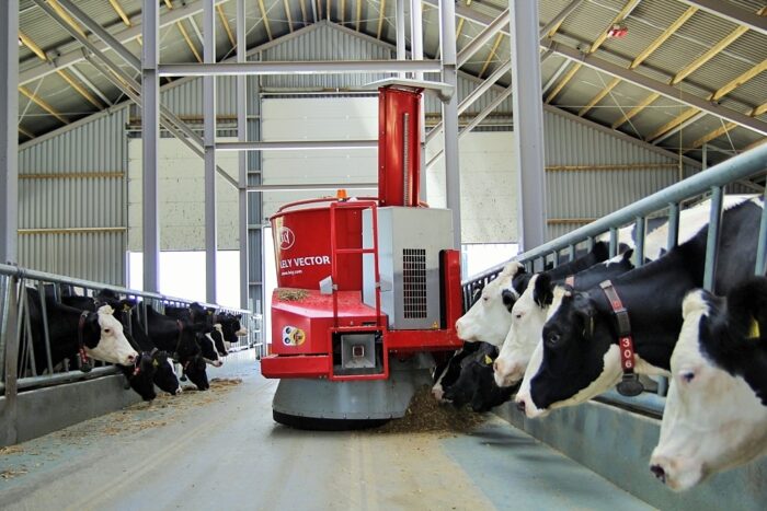 lely vector, krowy mleczne, pasza, robot