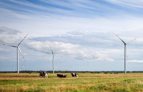 elektrowania wiatrowa, farma wiatrowa, turbiny wiatrowe, polskie stowarzyszenie energetyki wiatrowej, pis, vestas