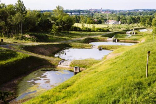 lasy, pożary lasów, Lasy Państowe, obszary leśne, susza, zmiany klimatu