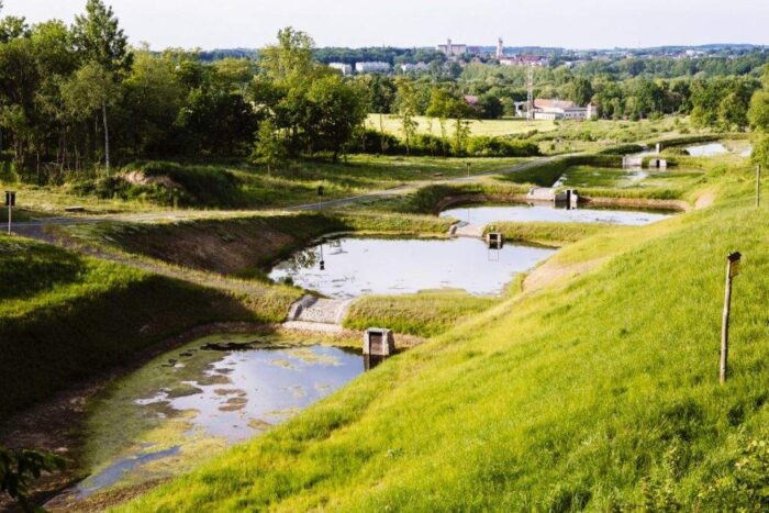 lasy, pożary lasów, Lasy Państowe, obszary leśne, susza, zmiany klimatu