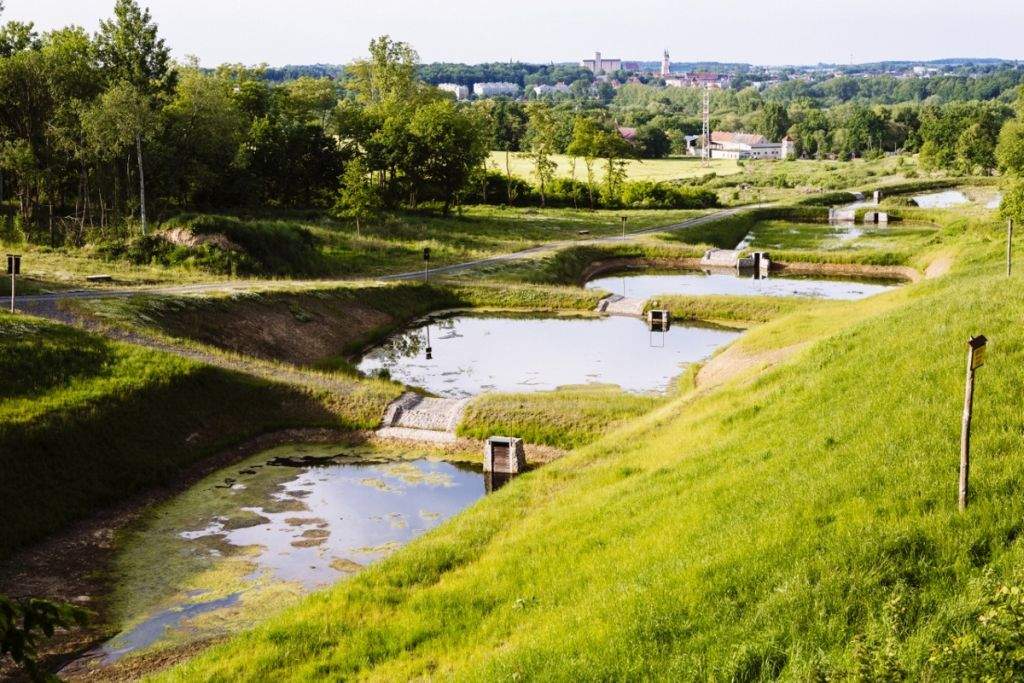 lasy, pożary lasów, Lasy Państowe, obszary leśne, susza, zmiany klimatu